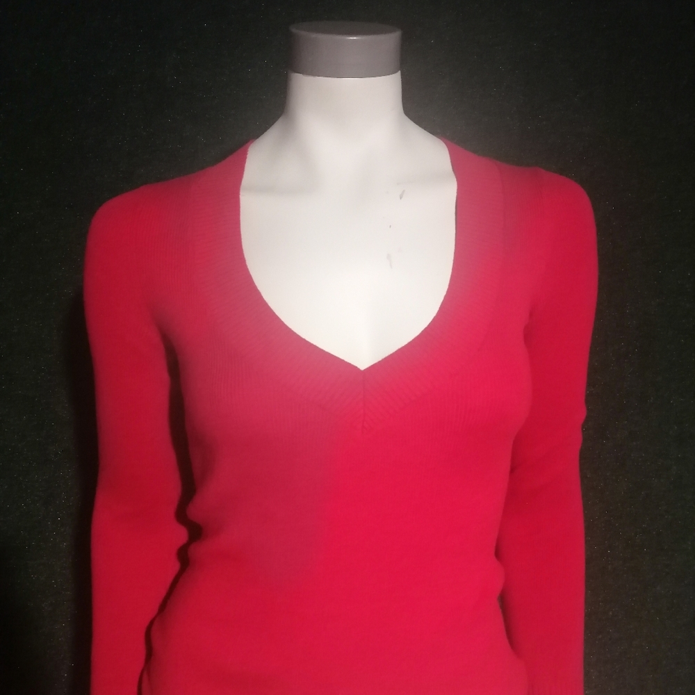 Express vneck sweater top